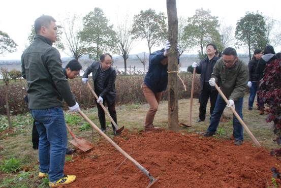 植树造林 美化环境 植树造林 美化环境