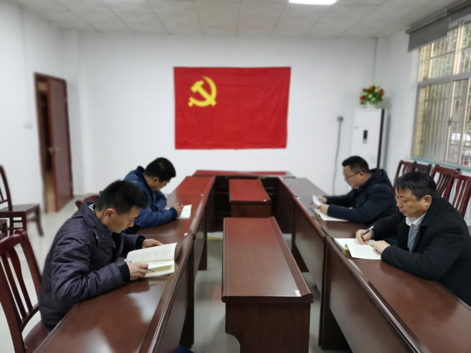 湖南鸟儿巢水电站发电有限公司党支部正式成立 湖南鸟儿巢水电站发电有限公司党支部正式成立