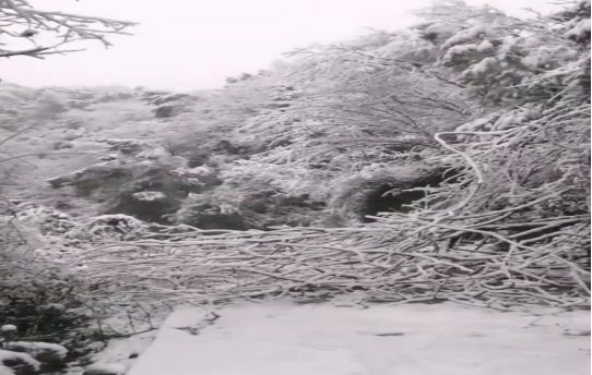 战暴雪、保供电!Jiuyou j9(中国)鸟儿巢公司应对极端天气紧急抢修失电故障 战暴雪、保供电!Jiuyou j9(中国)鸟儿巢公司应对极端天气紧急抢修失电故障