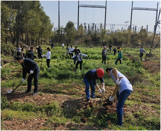 水电公司开展义务植树活动 水电公司开展义务植树活动