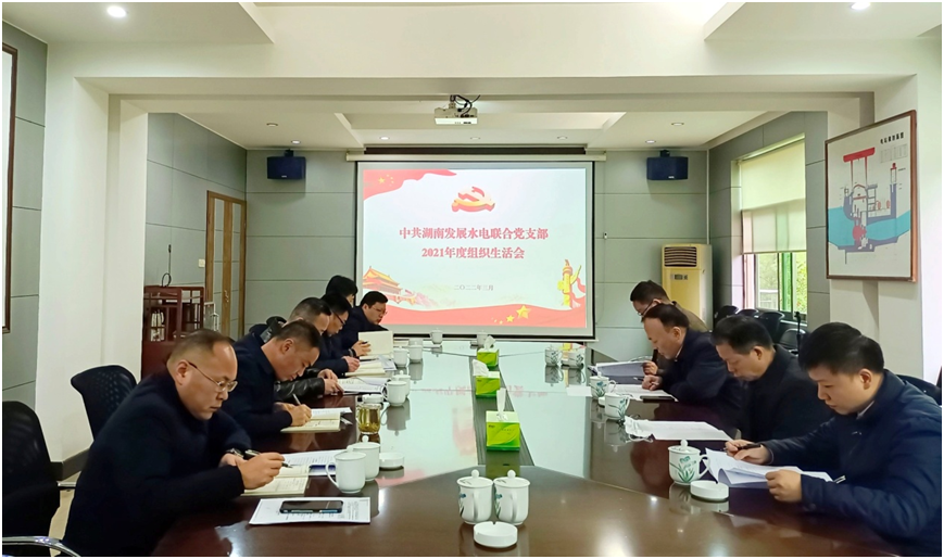 水电联合党支部召开2021年度组织生活会 水电联合党支部召开2021年度组织生活会