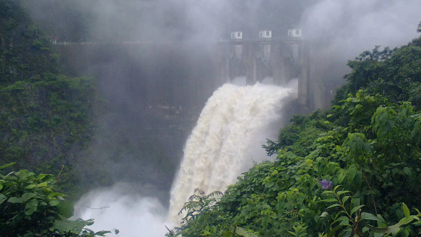 微信图片_20241216144738.jpg 微信图片_20241216144738.jpg